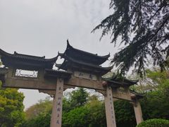 -镇江市南山风景名胜区竹林景区