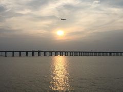 -宝安西湾红树林湿地公园