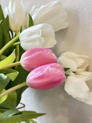 -禾壹净·素颜美问题肌肤修护中心