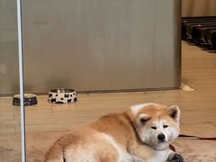 -YCHL Studios健身工作室(市二宫店)