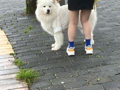 -武陵山森林公园
