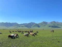 -新疆那拉提国家旅游度假区