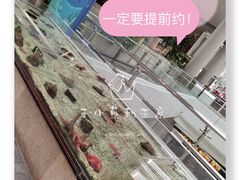 -上海自然博物馆