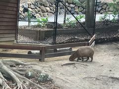 -可伦宾野生动物保护区