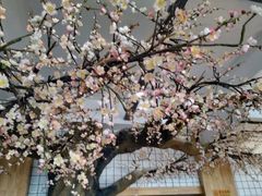 -莫山小馆(百花店)
