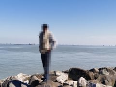 -上海吴淞炮台湾国家湿地公园