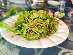 -南来顺饭庄·清真(南菜园店)