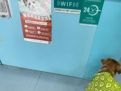 -佳怡动物医院·平价24小时·猫专科骨外科