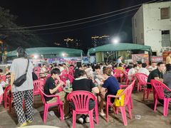-霞姐屯昌枫木香草鸭店(海螺店)
