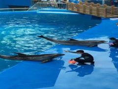 -石林冰雪海洋世界