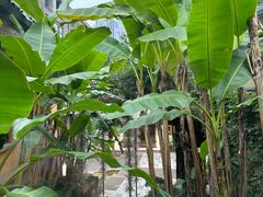 -铜锣湾·有麝自然香(重庆新天地店)