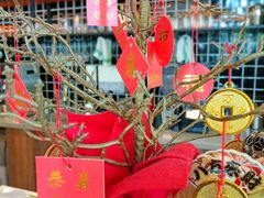 -青麦家·融合餐厅(江岛智立方店)