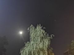 -晓靖轩烧烤(沙河风情店)