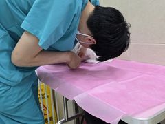 -北京观赏动物医院·24小时大型综合·猫专科·异宠专科