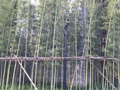 iphone_upload_pic-上海璞麗酒店