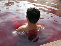 -天目湖涵田半山温泉