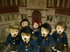 -济州岛泰迪熊博物馆