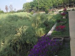 -洪湖家庭农场·团建·露营·会议