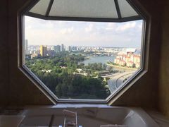 -新加坡丽思卡尔顿美年酒店