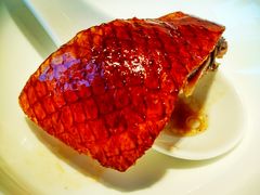 烧鹅-花城苑广府菜(侨鑫店)