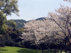 -中国茶叶博物馆(双峰馆区)