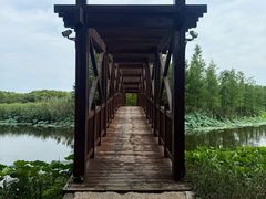 -同里国家湿地公园