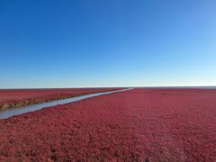 -红海滩国家风景廊道