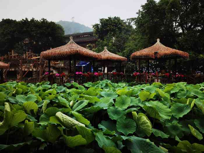 鲜龙井火锅公园(南山店)