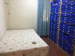 -维纳斯专业减肥