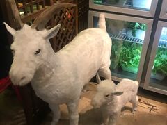 -红钳侠小龙虾·烧烤(中赢康康谷店)