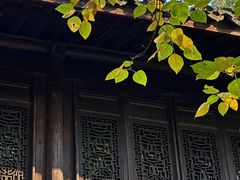 -乌镇东栅景区