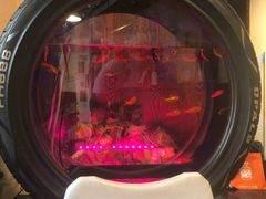 -卧龙堡客栈·中餐厅(古北水镇店)