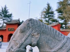 -洛阳白马寺