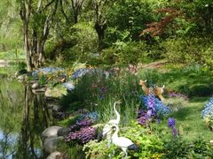 -上海共青森林公园