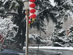 -南京钟山宾馆(江苏省会议中心)