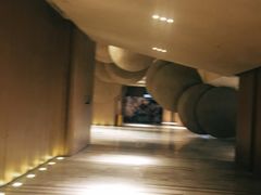 -武商摩尔影城(国广IMAX激光店)