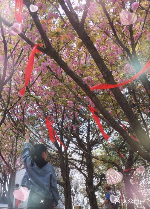 穹窿山景区图片