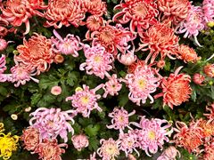 -昆明市金殿名胜区