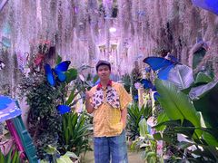 -正佳雨林生态植物园