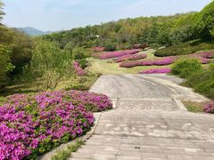 -宜兴龙背山森林公园