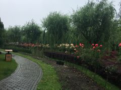 -上海鲜花港