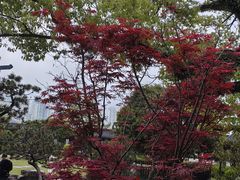 -江心屿景区