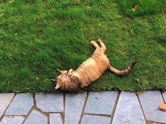 -西郊宾馆-地面停车场