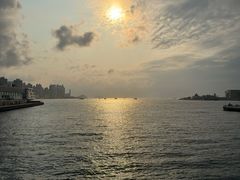 -Cupping Room(Harbour City)