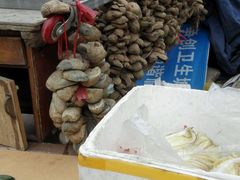 -站前农贸市场(金源路)
