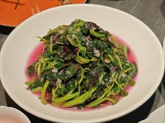 -小厨娘金榜题名(夫子庙秦淮河店)