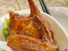 -百利鸽王(紫薇路店)