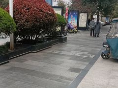 -北京老铺烤鸭(第五国际店)