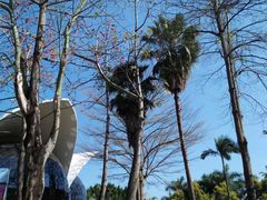 -人民公园(罗湖区)