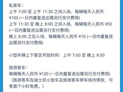 -迪士尼乐园停车场